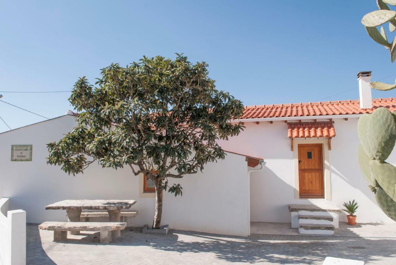 Casa De Campo De Oliveiras Penela Exteriér fotografie